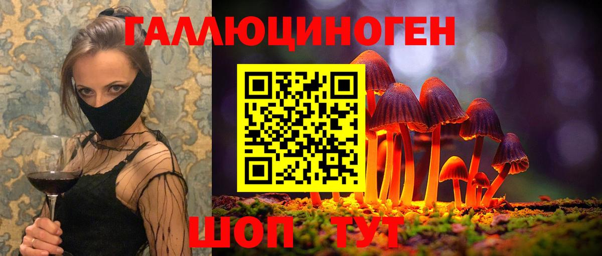 Нерюнгри  Псилоцибиновые грибы Psilocybine cubensis  Вход с VPN  Галлюциногенные грибы ЛСД 