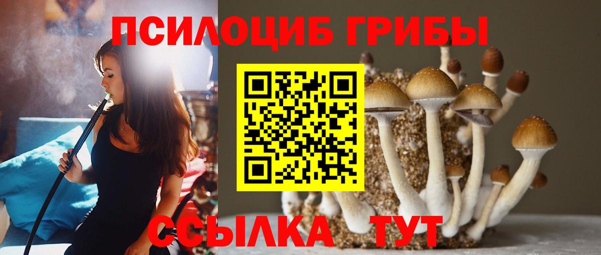 Галлюциногенные грибы Magic Shrooms Нерюнгри